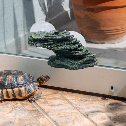 Muelle Para Reptiles, Piedra Para Terraza De , Repisa Para