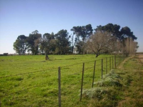 Imagen 2 de 2 de La Francia Pcia De Cordoba