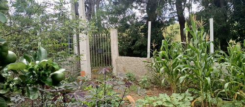 Chácara Com Casa 1.000 Mts Ibiúna