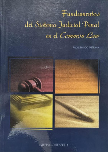 Libro - Fundamentos Del Sistema Judicial Penal En Elmon Law