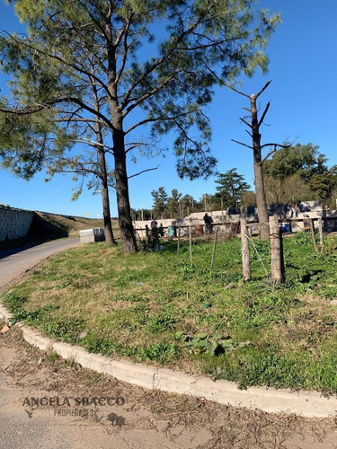 Imagen 7 de 7 de Terrenos En Parada Robles, Ruta 8 Km 77