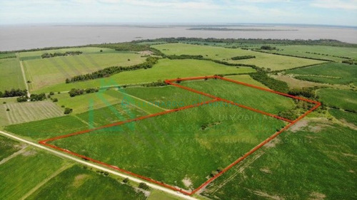 Imagen 3 de 13 de Martin Chico, Colonia - Campo Agricola Con Vista Al Rio De La Plata