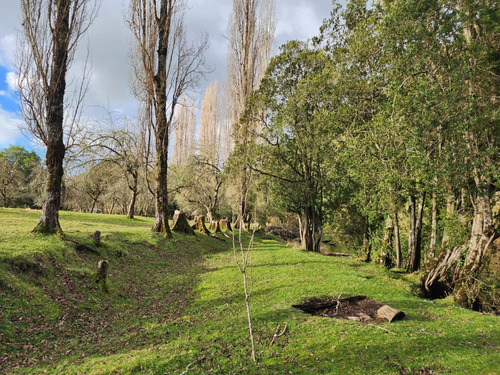 Terreno Orilla Rio Maullin Y Ruta V60 Ideal Pesca Inversion