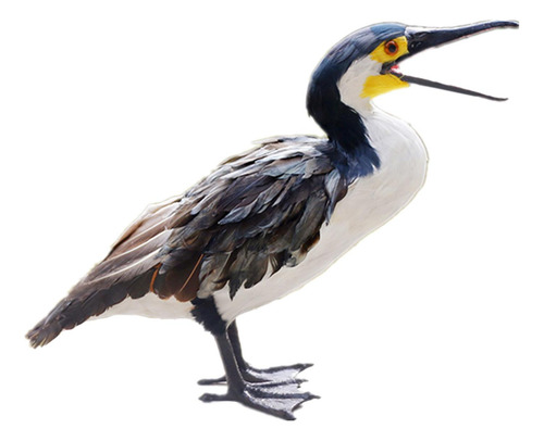 Estátua De Jardim De Penas Artificial Cormorant Artesanato
