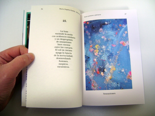Entre Poemas Y Pinturas Ciordia Berrade Vergara Edic Boedo (Usado)