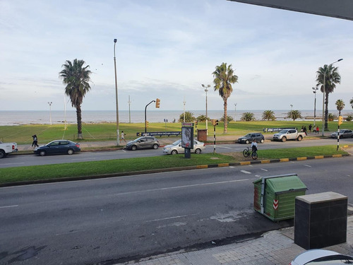 Imagen 3 de 20 de Rambla De Punta Carretas, 1 Dormitorio, Amplio Patio Y Amenities !!