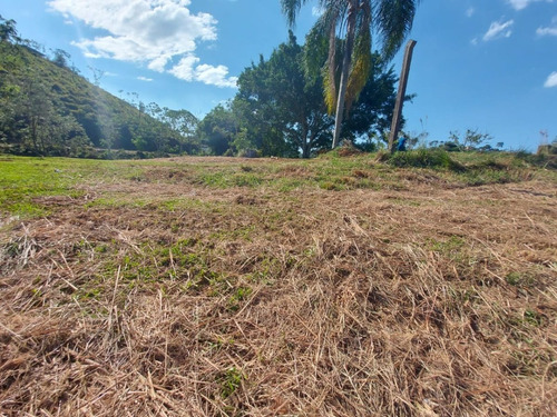 Imagem 25 de 30 de 03o-terreno A Venda Em Igarata