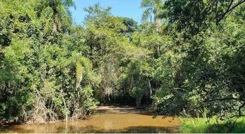 Imagem 3 de 14 de Terreno À Venda, 1000 M² Por R$ 260.000,00 - Condomínio Fazenda Jequitibá - Sorocaba/sp - Te1443
