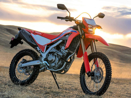 2021 Honda Crf300l