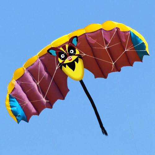 Frameless Kite Com 30m Kites String Flying Kites Parafoil