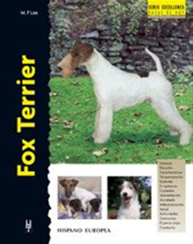 Fox Terrier -excellence-