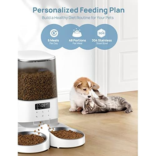 Dispensadores Automáticos De Comida Gatos, Dispensador...
