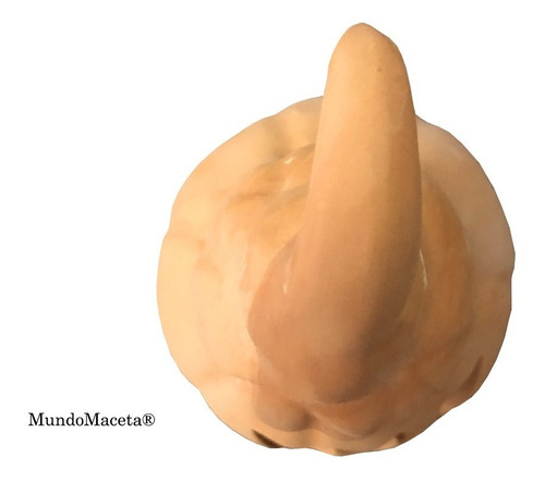 Imagen 3 de 4 de 2 Calabazas Artesanal Halloween P/pintar Adorno 21cm