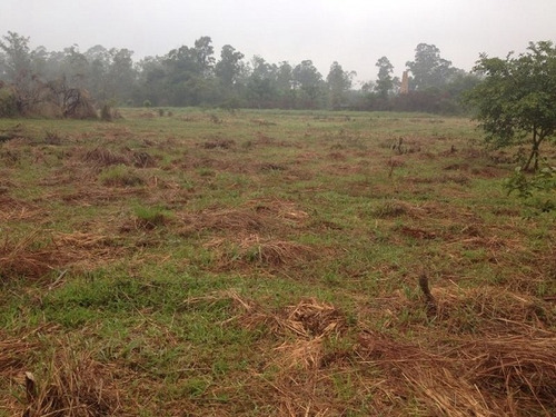 Imagem 2 de 6 de Terreno Para Venda, 0.0 M2, Jardim Revista - Suzano - 1794