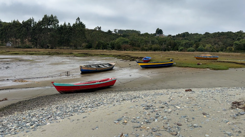 Campo En Maullín Río Astillero Región De Los Lagos