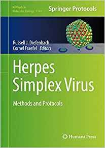 Herpes Simplex Virus Methods And Protocols (methods In Molec