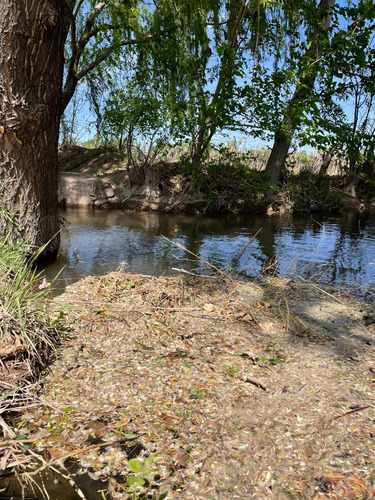 Imagen 13 de 14 de Vendo Finca 20 Hectareas Con Produccion De Viñedos Atuel Norte-san Rafael