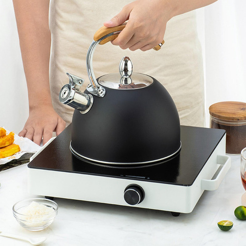 Tetera De Acero Inoxidable Estufa Con Mango De 2 Piezas