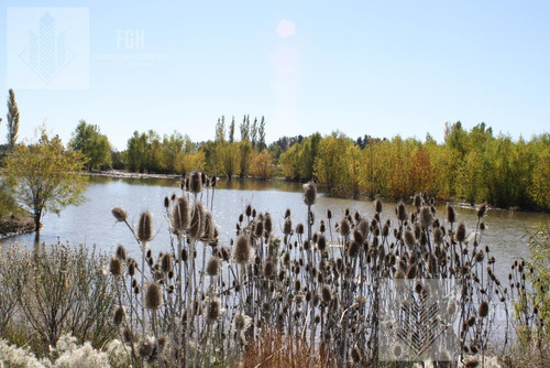 Imagen 12 de 30 de Lote Bosque En El Campo Fincas Exclusivas De Cardales