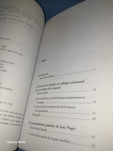 Psicología, La Actividad Mental (Usado)