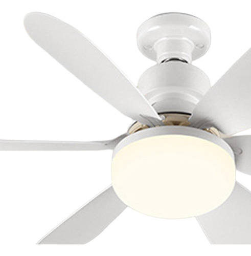 D Luz De Ventilador De Techo Con Zócalo, Ventilador De Techo