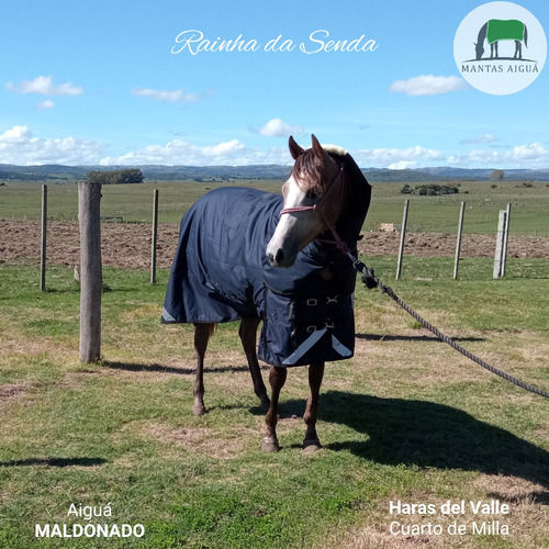 Manta Capa Caballo Importada (descuento Vta. Directa)
