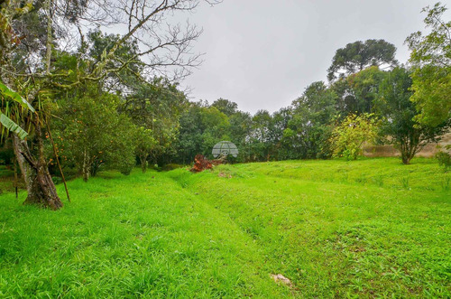 Imagem 10 de 16 de Área - Residencial - 932540