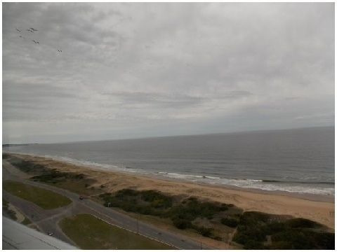 Venta De Apartamento, 3 Dormitorios, Playa Brava