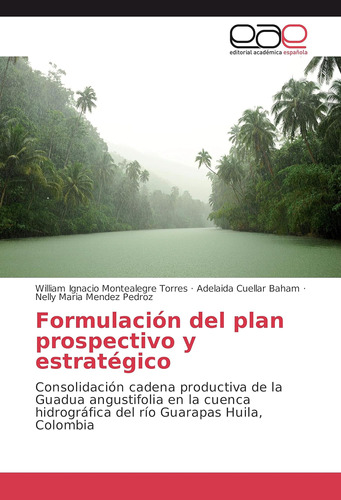 Libro: Formulación Del Plan Prospectivo Y Estratégico: Conso