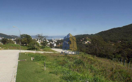 Imagem 10 de 16 de Terreno À Venda, 525 M² - Itacorubi - Florianópolis/sc - Te0187