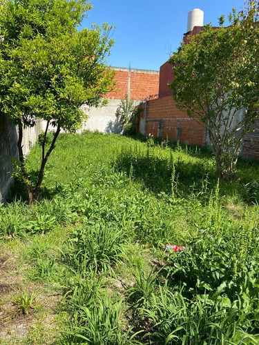 Imagen 4 de 5 de Terreno - Virr.-estacion
