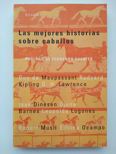 La Mejores Historias Sobre Caballos