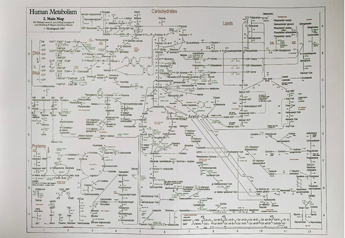 2 Mapas Metabólico-rutas Metabolicas Bioquímica.