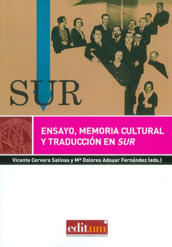 Ensayo, Memoria Cultural Y Traducción En Sur, De Vicente Cervera Salinas. Editorial Espana-silu, Tapa Blanda, Edición 2014 En Español