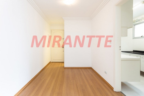 Imagem 20 de 21 de Apartamento Em Perdizes - São Paulo, Sp - 370958