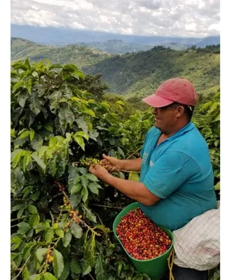 Finca en venta