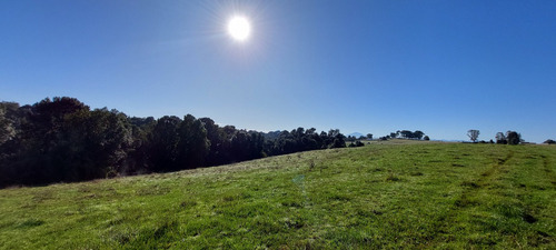 Terreno Orilla Rio Maullin