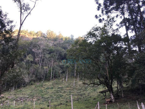 Imagem 3 de 11 de Sítio À Venda, 88634 M² Por R$ 1.055.000,00 - Linha Furna - Gramado/rs - Si0107