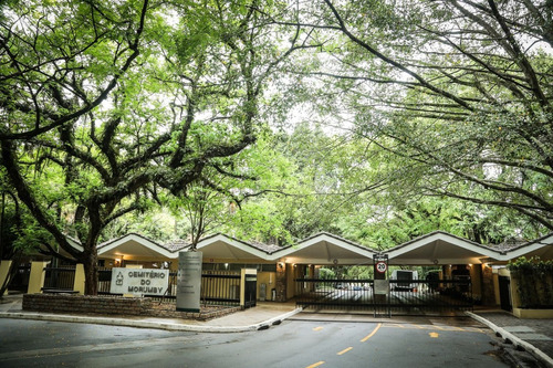 Jazigo Cemitério Do Morumbi Com 3 Gavetas Quadra Xv