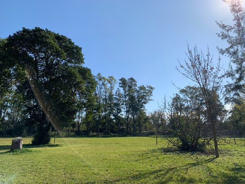 Imagen 5 de 10 de Venta Lotes/terrenos De 9x56,60 Mts- Escritura Inmediata Y Financia