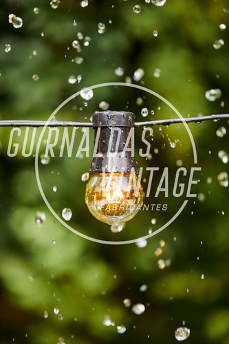 Imagen 6 de 10 de 10 Mts Guirnalda De Luces Exterior Con 10 Lamparas Vintage