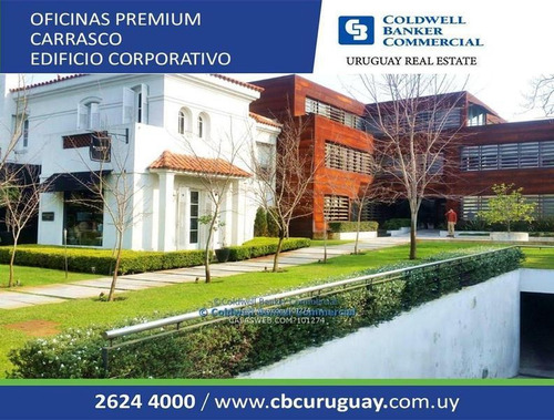 Oficina Carrasco Alquiler