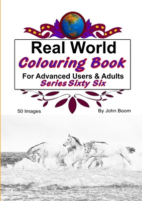 Libro Real World Colouring Books Series 66 - Boom, John