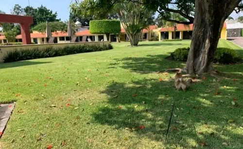 Comoda Casa Un Nivel Conjunto Horizontal Cerca Camino Real S