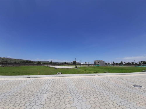 Imagen 3 de 12 de Terreno En Venta Parque Chiapas- Fraccionamiento Lomas De Angelópolis