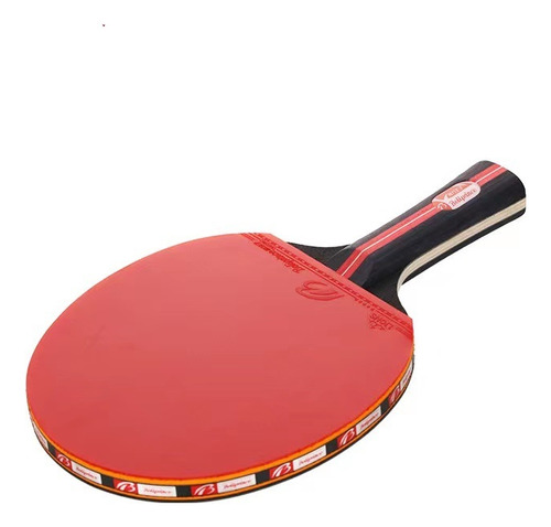 Set De Palas De Tenis De Mesa Profesional