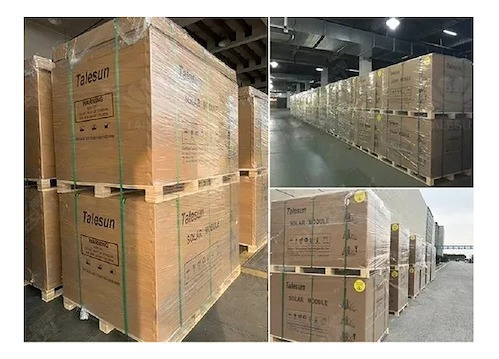 Pallet X31 Panel Solar Talesun Policristalino Tp672m-385w