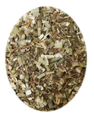 Hinojo Té Orgánico 1 Kg.