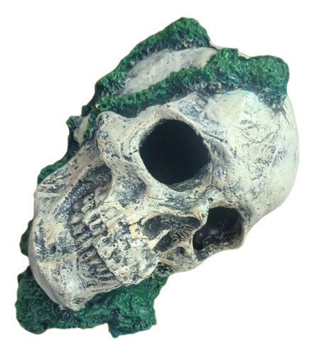 Calavera Con Algas. Figura De Resina Para Acuario. Cueva