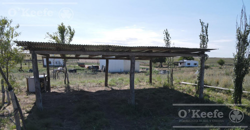 Campo En Venta De 27950 Has En Gral Alvear Mendoza. Armada Para Cria/recria